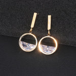 Luxury Gold Silver Color Round Zircon Earrings